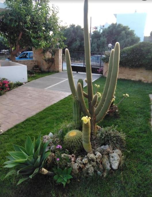 Ferienwohnung Antonia Plakias Exterior foto